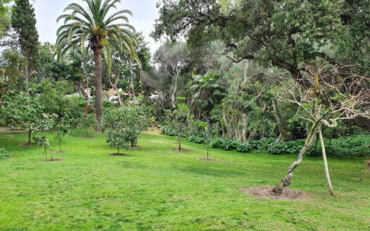 Parcela-en-venta-Reyes y Reinas | PR23097