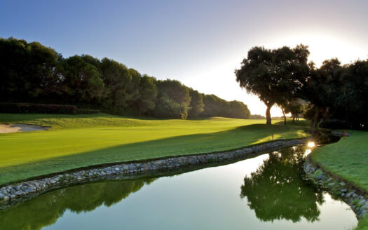 Parcela-en-venta-Zona G | PR24145